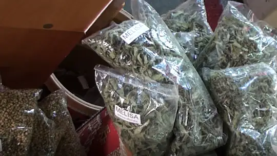 Aktarlar gribal enfeksiyonlar konusunda uyarıyor