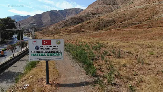 Yanan Alanların Tamamı Ağaçlandırıldı