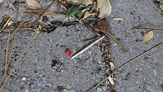 18 YAŞINDA HAYATINI KAYBEDEN BERFİN'İN AİLESİ, KAZANIN AYDINLATILMASINI İSTİYOR