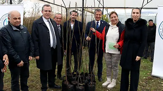 2500 FETHİYE KAYA İNCİRİ FİDANI ÜRETİCİLERE DAĞITILDI