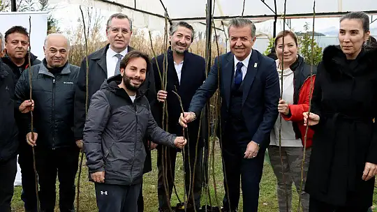 2500 FETHİYE KAYA İNCİRİ FİDANI ÜRETİCİLERE DAĞITILDI