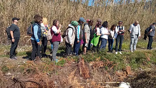 'GÖCEK OT YEMEKLERİ FESTİVALİ' BAŞLADI