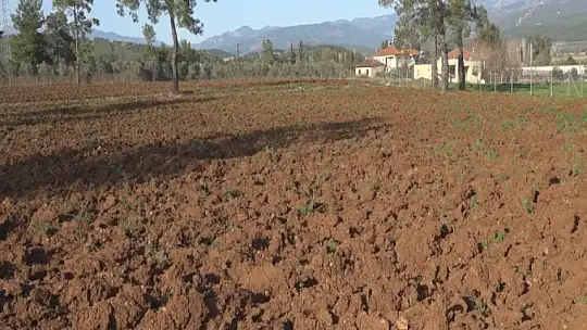 Çobanlar Koza Birliği Yolda