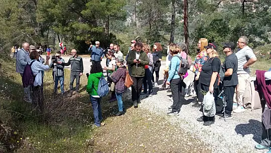 'GÖCEK OT YEMEKLERİ FESTİVALİ' BAŞLADI