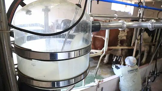 Süt fiyatları üreticinin beklentisinin altında…