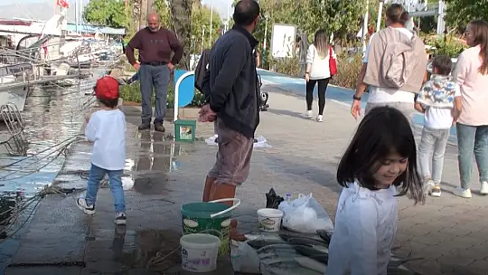SAHİL BANDINDA BALIK BEREKETİ