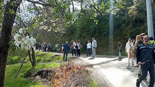 'GÖCEK OT YEMEKLERİ FESTİVALİ' BAŞLADI