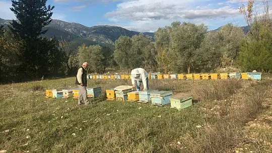 2019 Yılı Arılı Kovan Destekleme Başvuruları Başladı