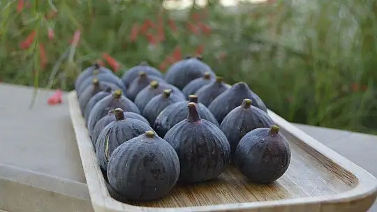 Fethiye Kaya İnciri artık coğrafi işaretli