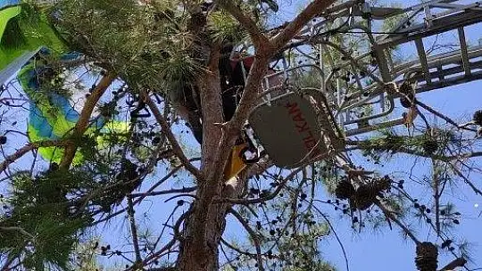 Ağaçta asılı kalan yamaç paraşütçülerini itfaiye kurtardı