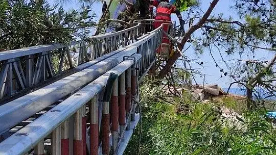 Ağaçta asılı kalan yamaç paraşütçülerini itfaiye kurtardı
