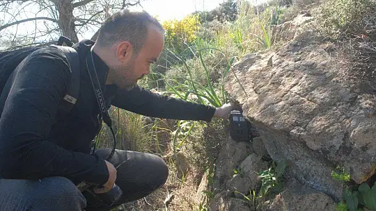 Su samuru foto kapanla görüntülendi 