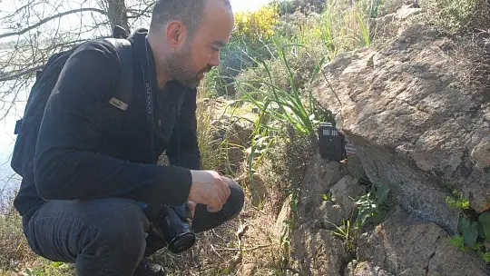 Su samuru foto kapanla görüntülendi 