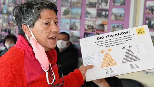 Karaca hayvan severler ile buluştu