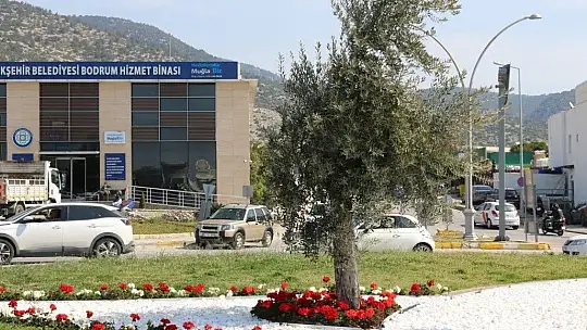 Ana arterde peyzaj ve çevre düzenlemeleri devam ediyor