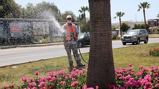 Ana arterde peyzaj ve çevre düzenlemeleri devam ediyor