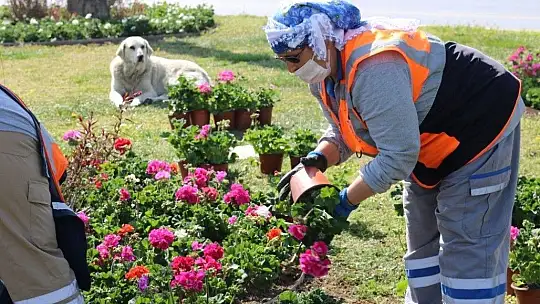 Ana arterde peyzaj ve çevre düzenlemeleri devam ediyor