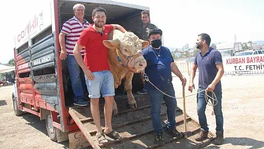 FETHİYE'NİN EN BÜYÜK KURBANLIĞI GÖZ KAMAŞTIRDI