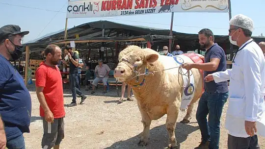 FETHİYE'NİN EN BÜYÜK KURBANLIĞI GÖZ KAMAŞTIRDI