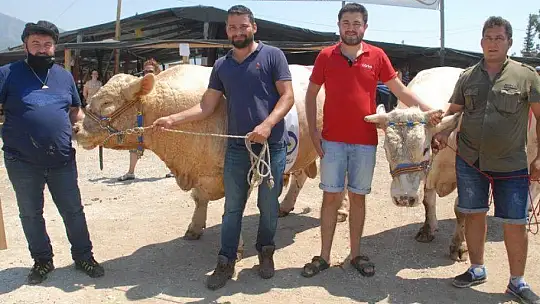 FETHİYE'NİN EN BÜYÜK KURBANLIĞI GÖZ KAMAŞTIRDI