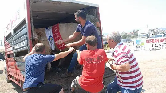 FETHİYE'NİN EN BÜYÜK KURBANLIĞI GÖZ KAMAŞTIRDI