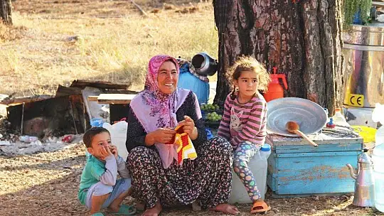 Arılarla ormanlarda geçen yaşamlar