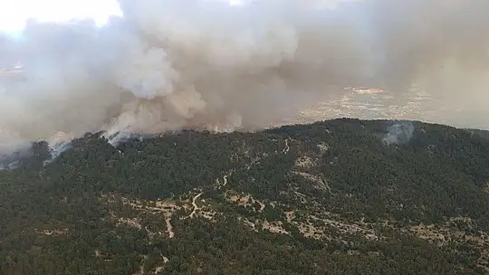 Aydın'da başlayarak Muğla'ya ulaşan orman yangını kontrol altına alındı