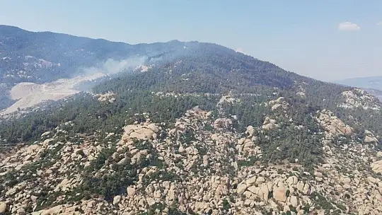 Aydın'da başlayarak Muğla'ya ulaşan orman yangını kontrol altına alındı