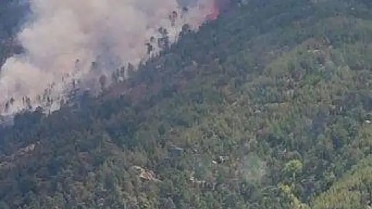 Aydın'da başlayarak Muğla'ya ulaşan orman yangını kontrol altına alındı