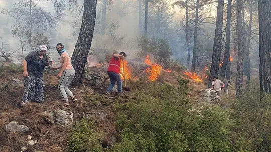 Baştuğ, 'Yangına ilk koşan çiftçimiz oldu'