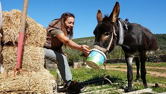 Belediye tedavi etti, vatandaş sahiplendi