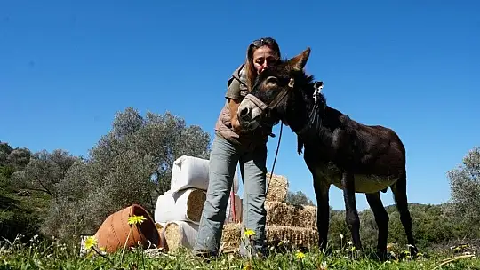 Belediye tedavi etti, vatandaş sahiplendi