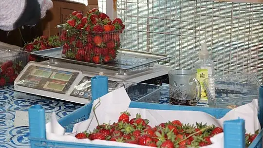 Belediye, tezgaha çıkarılamayan ürünleri halka ulaştırıyor