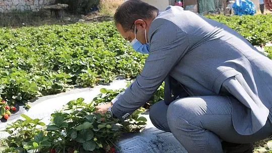 Belediye, tezgaha çıkarılamayan ürünleri halka ulaştırıyor