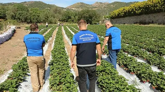 Belediye, tezgaha çıkarılamayan ürünleri halka ulaştırıyor