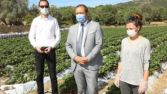 Belediye, tezgaha çıkarılamayan ürünleri halka ulaştırıyor