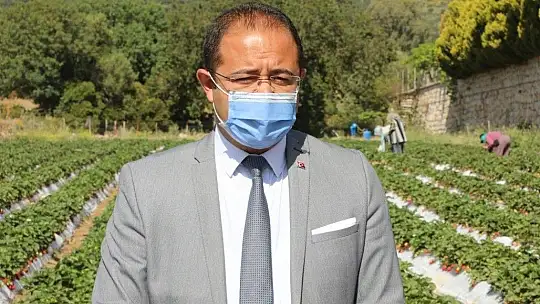 Belediye, tezgaha çıkarılamayan ürünleri halka ulaştırıyor