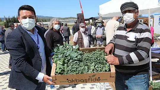 Bodrum Belediyesi 154 bin yazlık fideyi üreticilere hibe etti