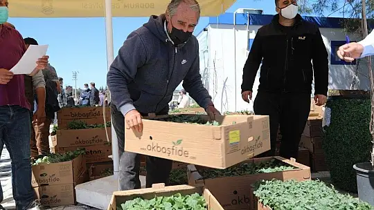 Bodrum Belediyesi 154 bin yazlık fideyi üreticilere hibe etti