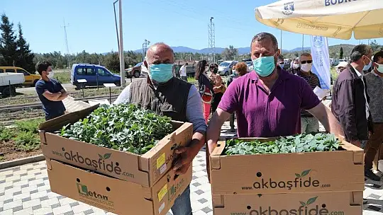 Bodrum Belediyesi 154 bin yazlık fideyi üreticilere hibe etti