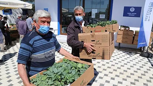 Bodrum Belediyesi 154 bin yazlık fideyi üreticilere hibe etti