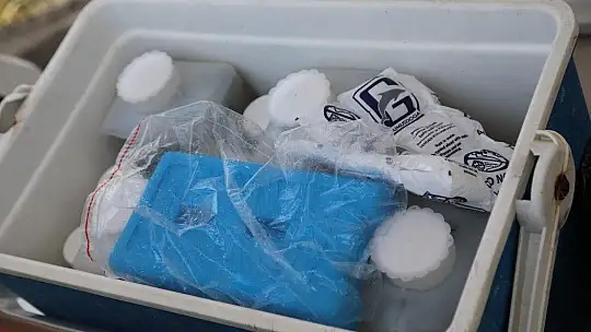 Bodrum Belediyesi Denizlerdeki Müsilaj Sorununa Karşı Harekete Geçti