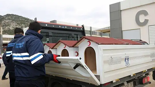 Bodrum Belediyesi ve STK'lardan sokak hayvanları için ortak proje