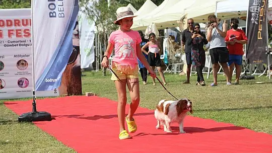 Bodrum can dostları için festival düzenledi: 'Pati Fest'