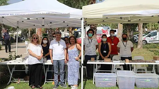 Bodrum can dostları için festival düzenledi: 'Pati Fest'