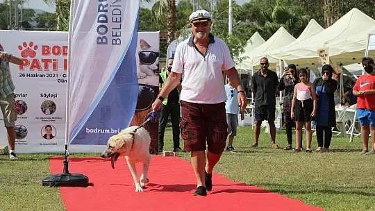 Bodrum can dostları için festival düzenledi: 'Pati Fest'