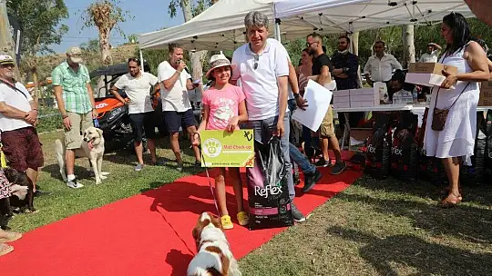 Bodrum can dostları için festival düzenledi: 'Pati Fest'