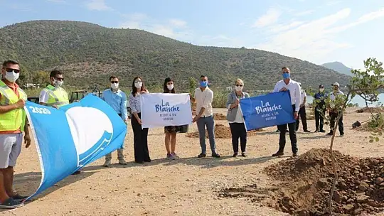 Bodrum'da sahiller ağaçlandırılıyor
