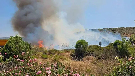 Bodrum Havalimanı kavşağında yangın