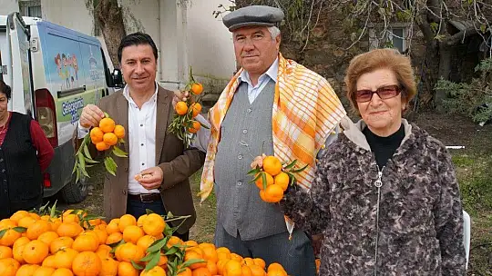 Bodrum Mandalinası Tüm Türkiye'de